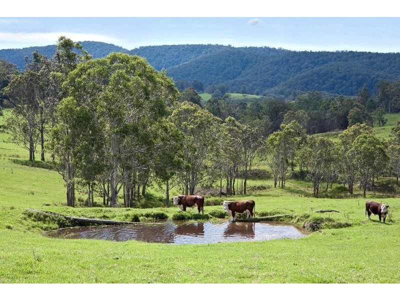 Tyringham NSW 2453