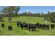 Tyringham NSW 2453