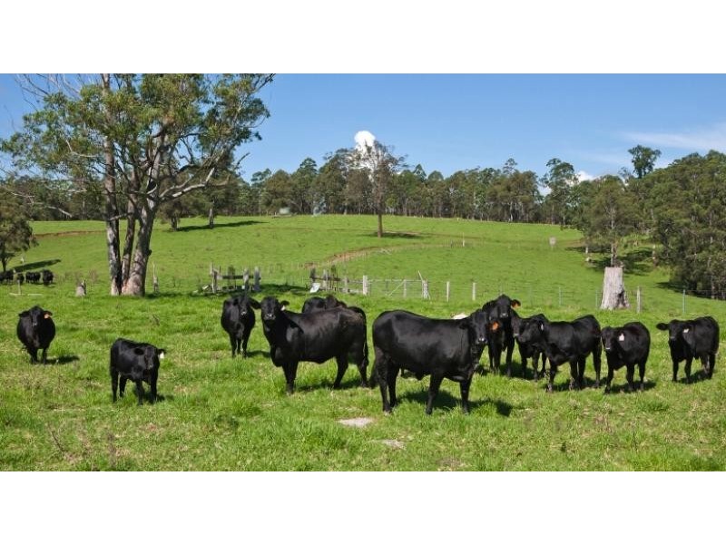Tyringham NSW 2453