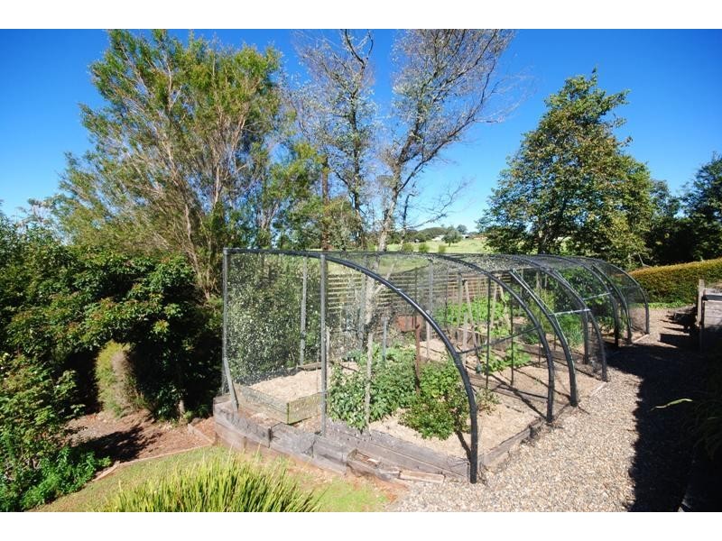 7 Cofton Close, Dorrigo NSW 2453
