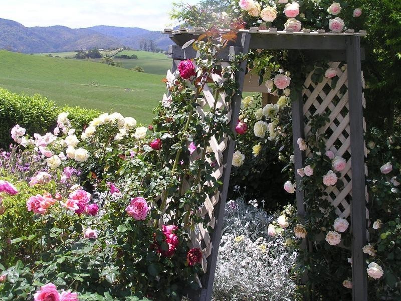 7 Cofton Close, Dorrigo NSW 2453