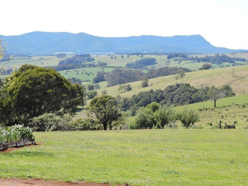 Dorrigo NSW 2453 Floorplan