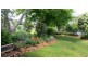 1 Vine Street, Dorrigo NSW 2453