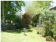 1 Vine Street, Dorrigo NSW 2453