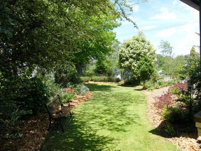 1 Vine Street, Dorrigo NSW 2453