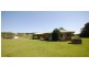Dorrigo NSW 2453