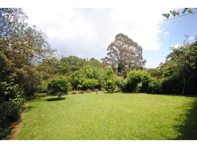 Dorrigo NSW 2453