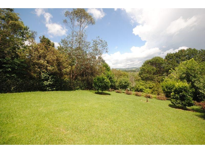 Dorrigo NSW 2453