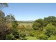Dorrigo NSW 2453
