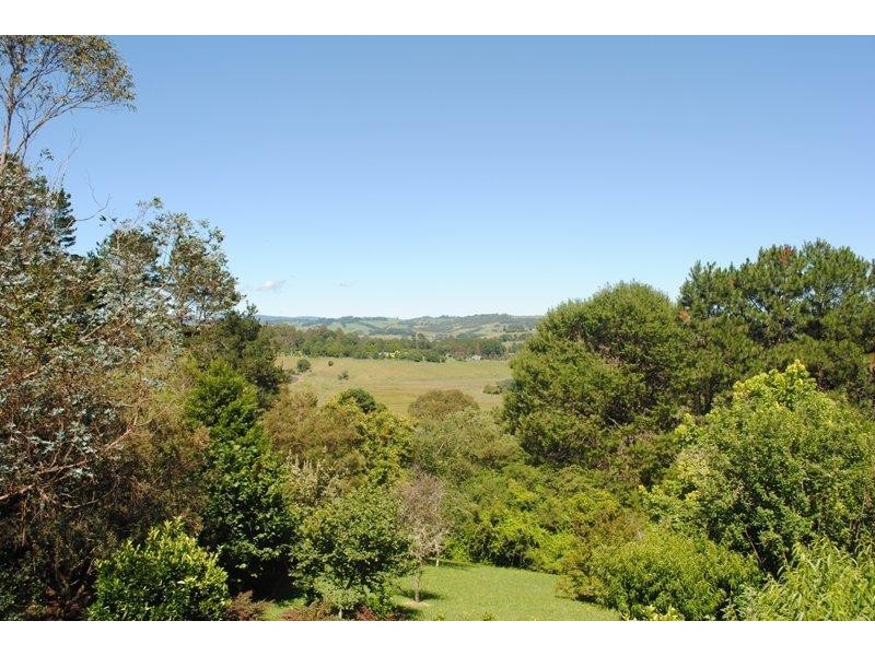Dorrigo NSW 2453