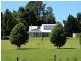 507 Whisky Creek Road, Dorrigo NSW 2453