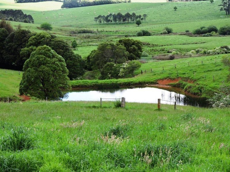 65 Parberys Lane, Dorrigo NSW 2453