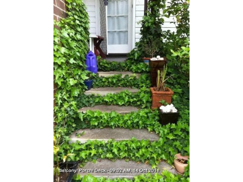 43 Garibaldi  Street ARMIDALE 2350, Armidale NSW 2350