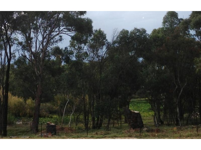 70 Kentucky Street ARMIDALE 2350, Armidale NSW 2350