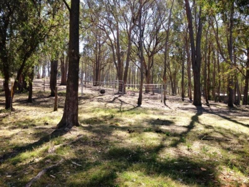 9 Adina Road INVERGOWRIE 2350, Invergowrie NSW 2350