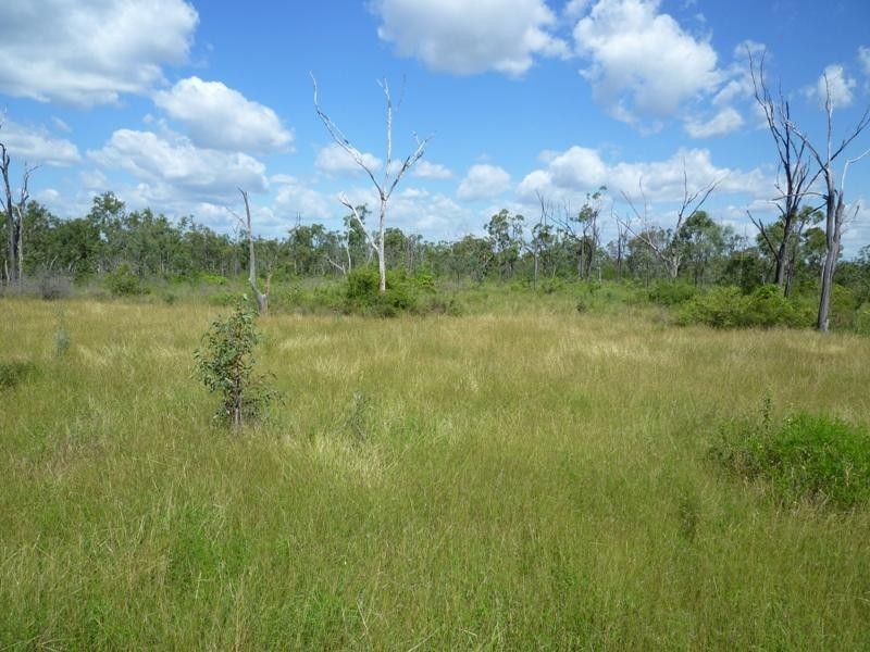 Calcium QLD 4816