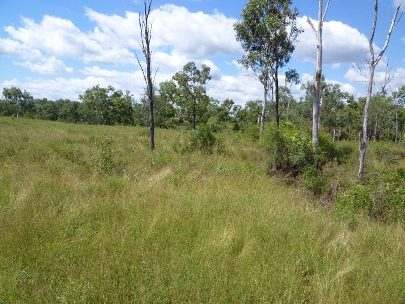 Calcium QLD 4816