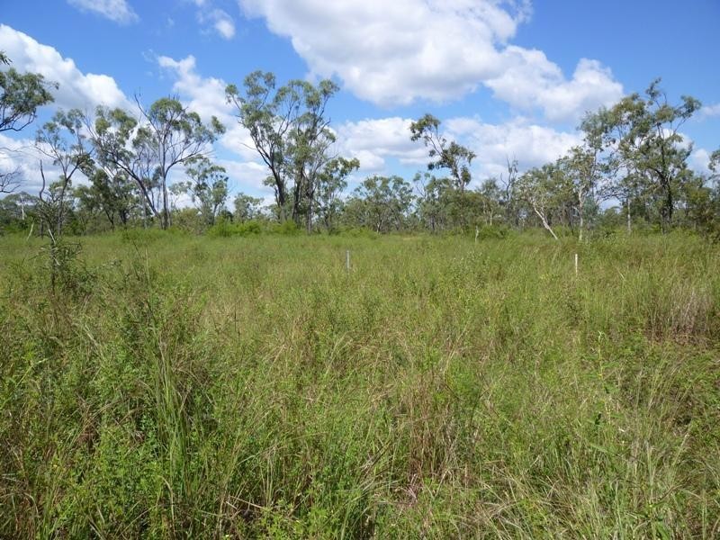 Calcium QLD 4816