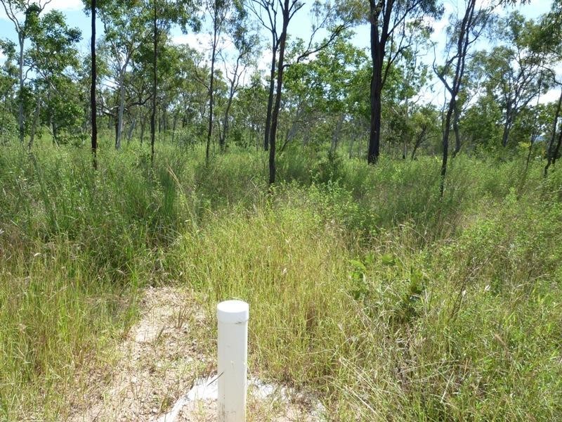 Calcium QLD 4816