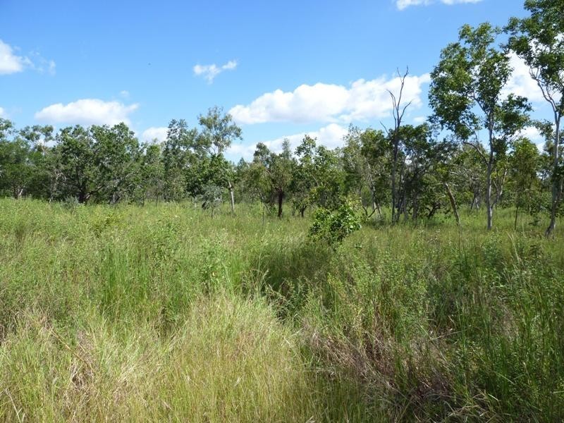Calcium QLD 4816
