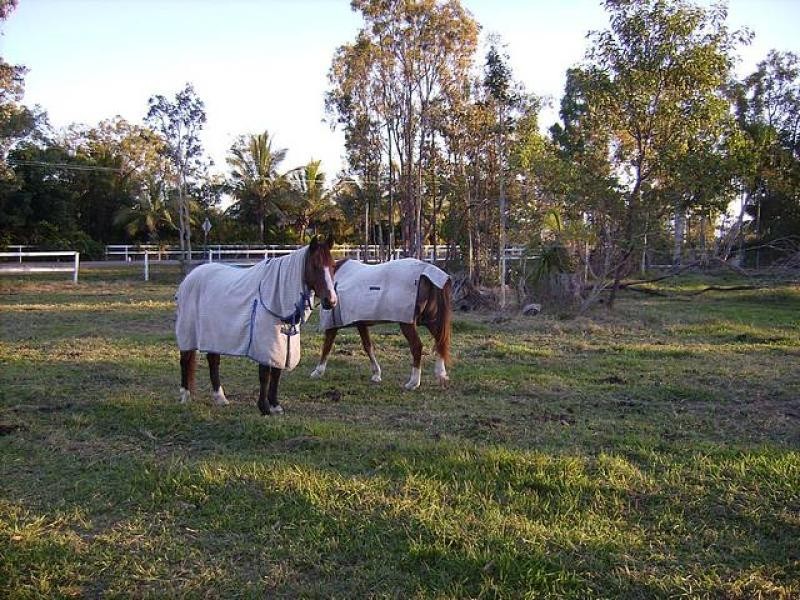 7 Salamander Street  BLUEWATER 4818, Bluewater QLD 4818