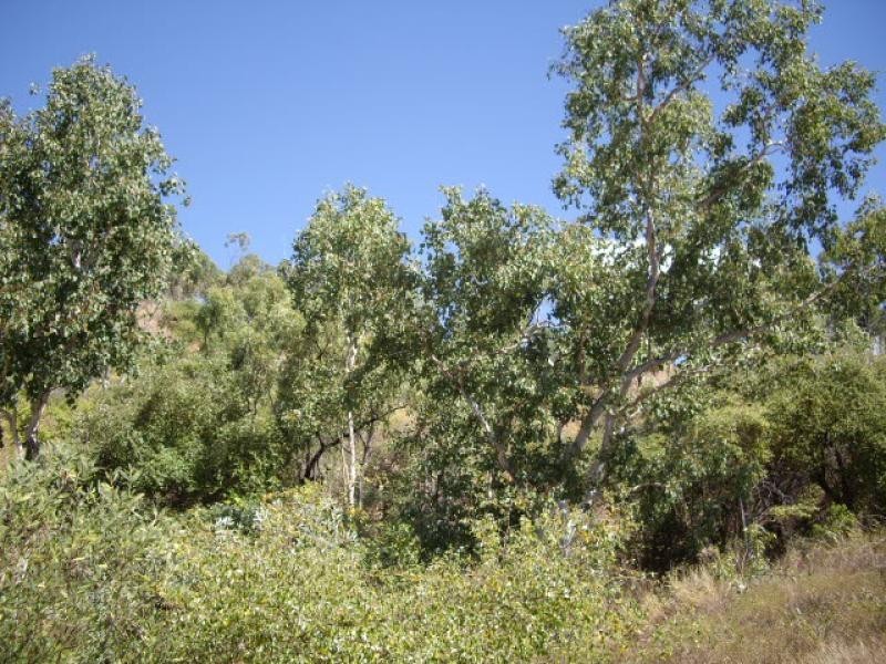 23  Kosciusko Way MOUNT LOUISA 4814, Mount Louisa QLD 4814