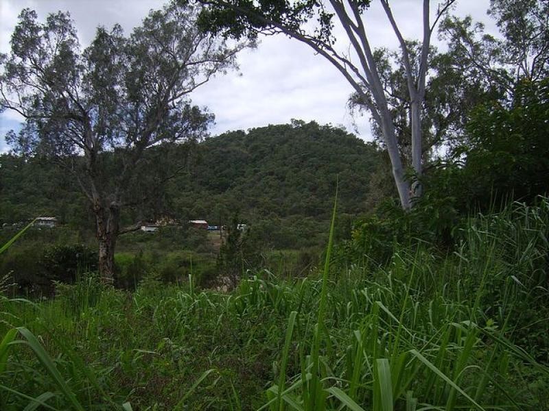 35 Church  Road, Black River QLD 4818