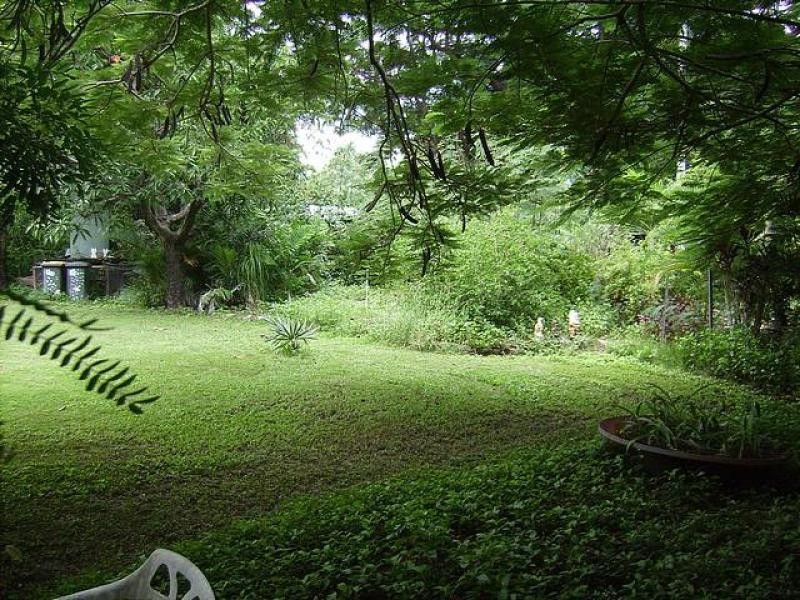 35 Church  Road, Black River QLD 4818