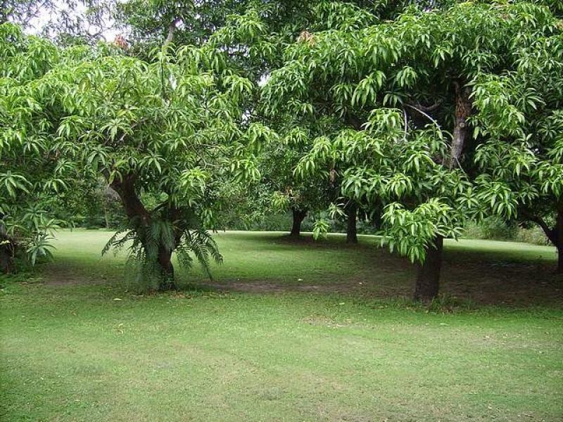 35 Church  Road, Black River QLD 4818