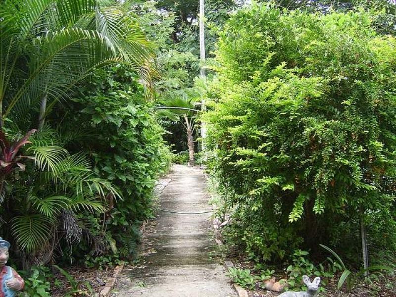 35 Church  Road, Black River QLD 4818