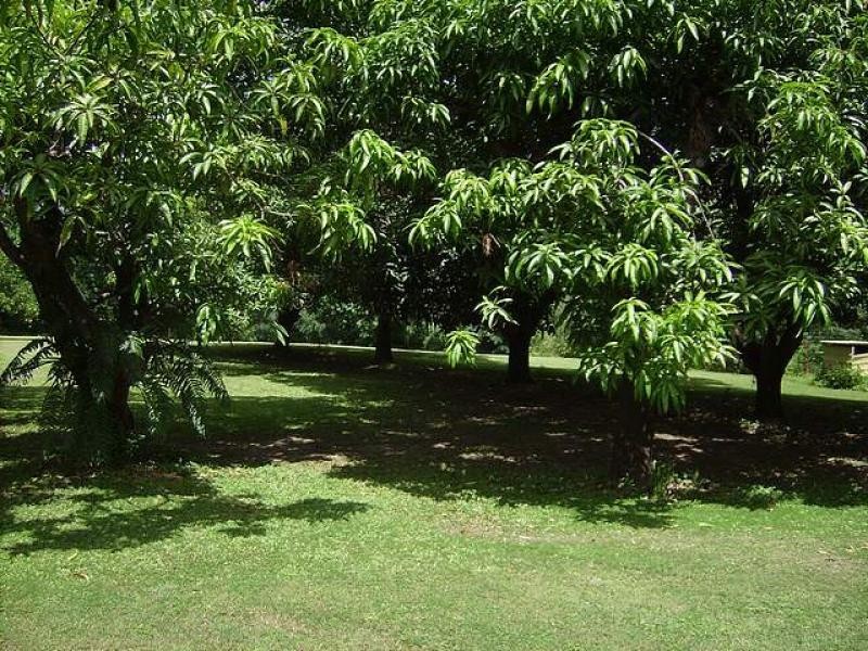 35 Church  Road, Black River QLD 4818