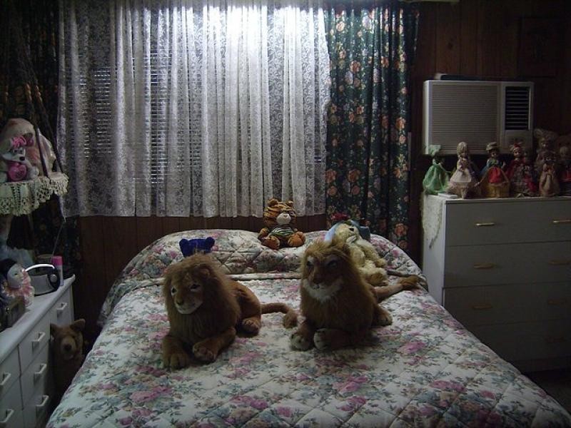 35 Church  Road, Black River QLD 4818