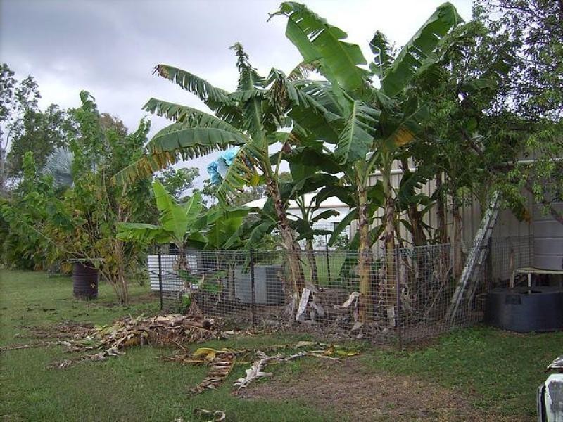 124 Sanctuary  Road, Hervey Range QLD 4817