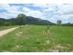 Lot 1 Ryans Road, Reid River QLD 4816