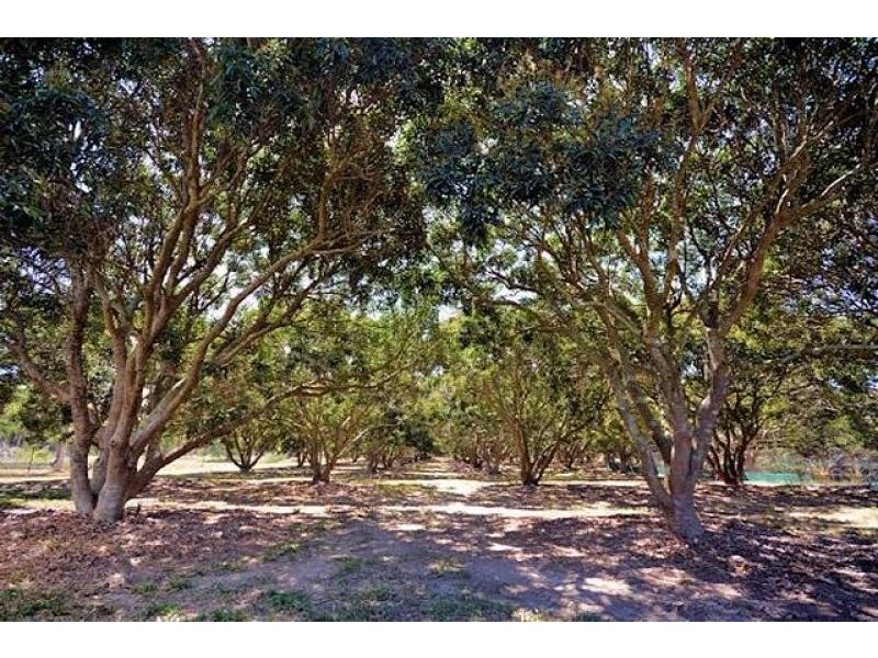 103 Toolakea Beach  Road, Bluewater QLD 4818