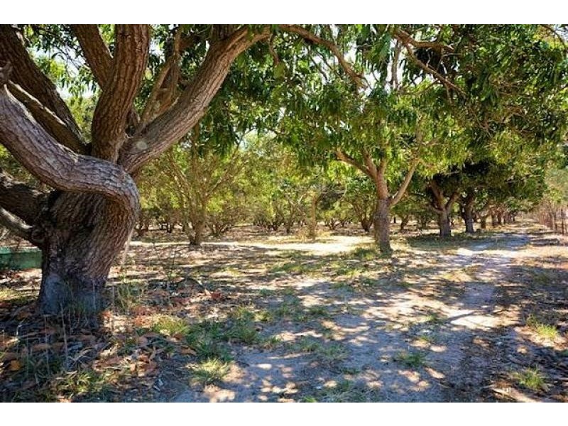 103 Toolakea Beach  Road, Bluewater QLD 4818