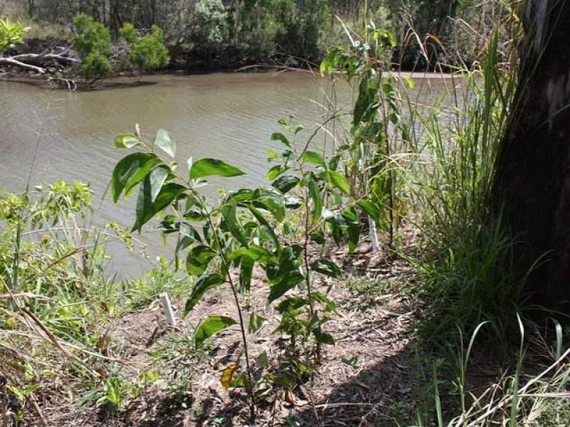 353 Bluewater  Drive, Bluewater QLD 4818