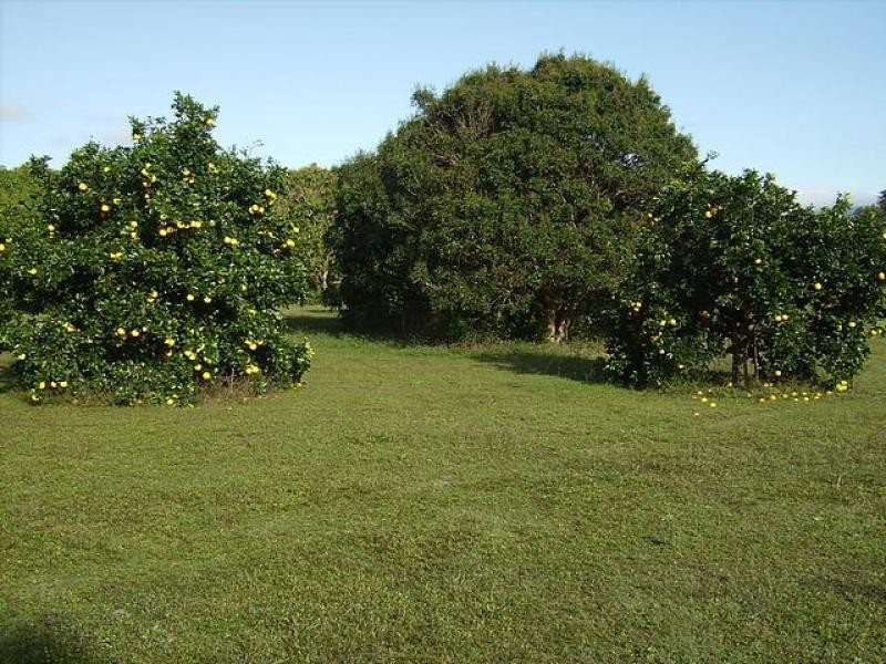 128 Forestry  Road, Bluewater QLD 4818