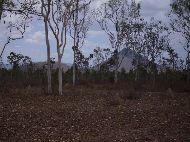 7 Vivian Voss Court, Black River QLD 4818