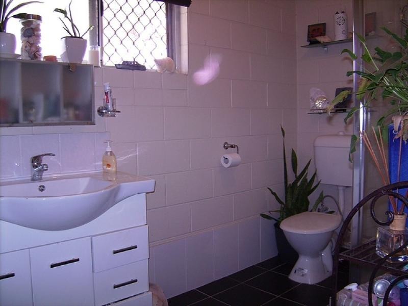 7 Vivian Voss Court, Black River QLD 4818