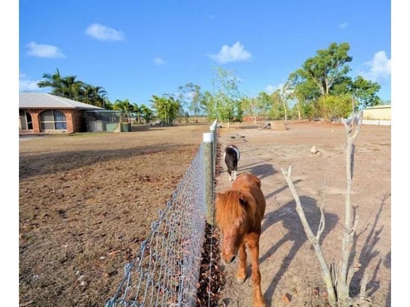 24 Bluemountain Drive, Bluewater QLD 4818