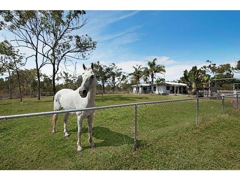 12 Holstein  Place, Black River QLD 4818