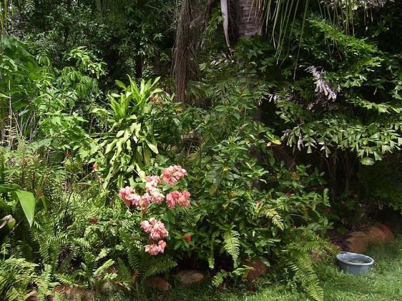 424 Forestry  Road, Bluewater QLD 4818