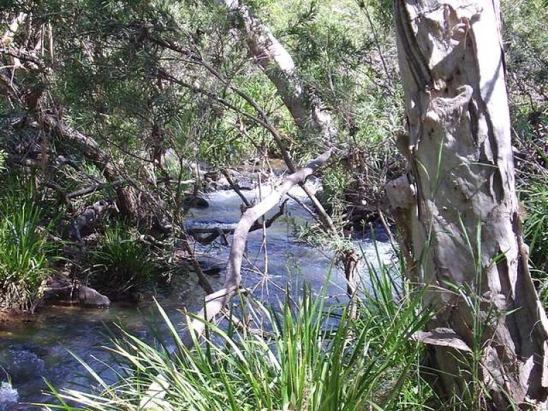 200 Forestry Road, Bluewater QLD 4818