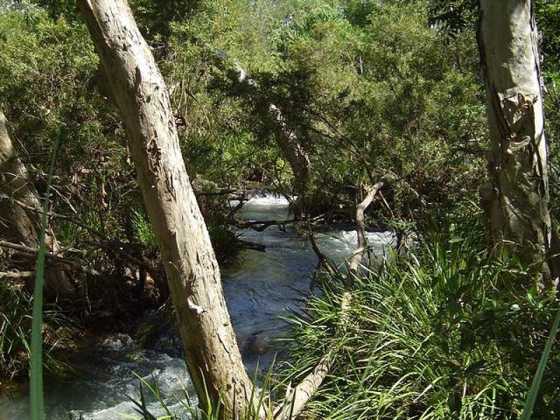 200 Forestry Road, Bluewater QLD 4818