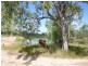 Lot 4 Ryans  Road, Reid River QLD 4816
