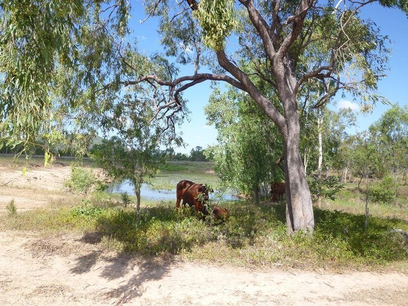 Lot 4 Ryans  Road, Reid River QLD 4816