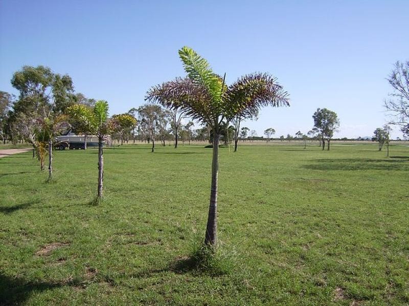 5 S S Star of Hope Avenue, Jerona QLD 4809