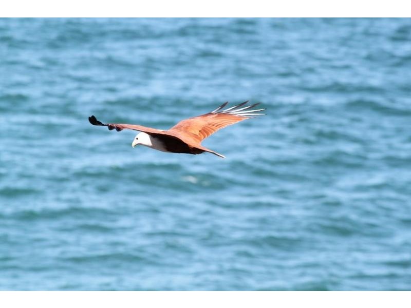 1 Sooning Street, Magnetic Island QLD 4819