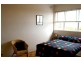 29/7A Bruce  Street ASHFIELD 2131, Ashfield NSW 2131